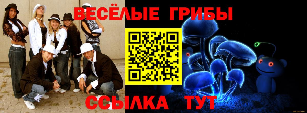 Псилоцибиновые грибы мицелий Ржев